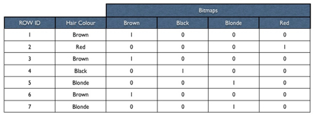 Bitmap Index 1