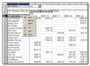 Editing Pivot Views