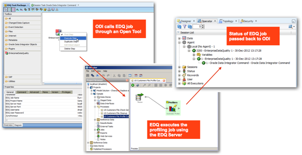 ODI EDQ Execution