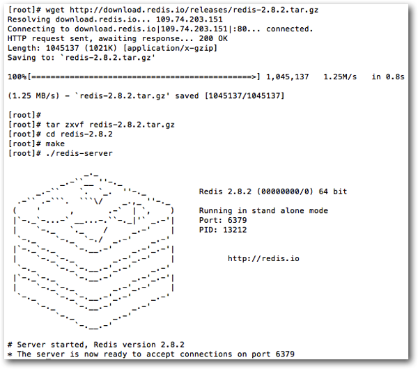 redis install