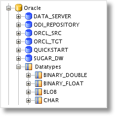 Oracle Technology