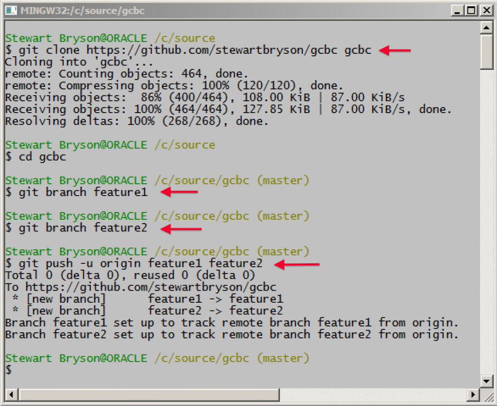 Git Clone with Remote Branches