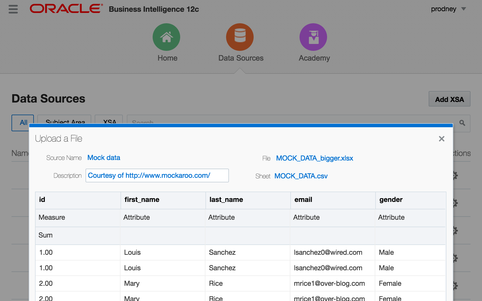 OBIEE 12c – Extended Subject Areas (XSA) and the Data Set Service