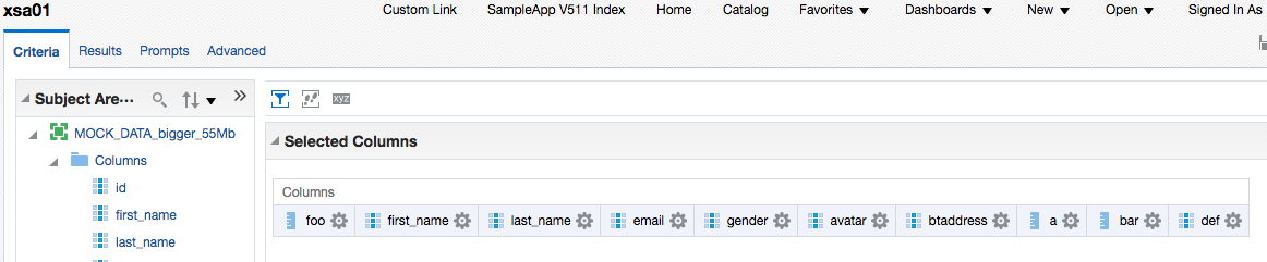 OBIEE 12c – Extended Subject Areas (XSA) and the Data Set Service