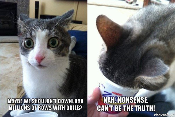 Cat Million Rows