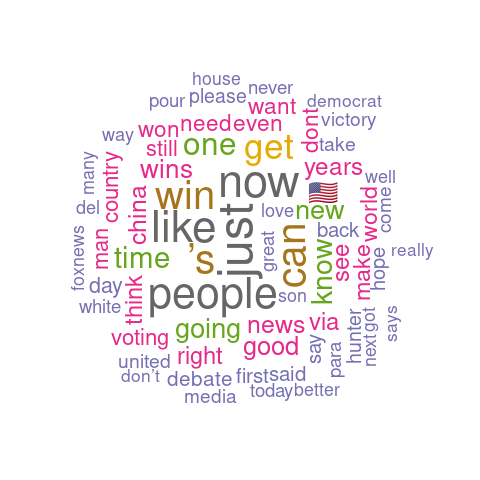 Joe Biden's analysis wordcloud