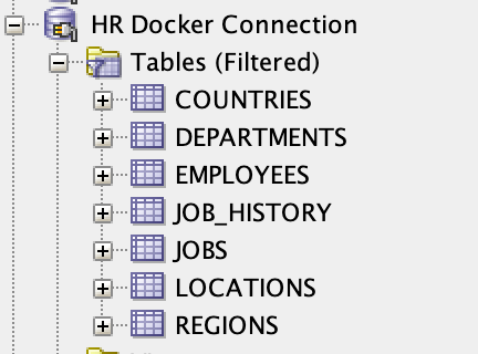 Connection shown to Docker DB in SQLDeveloper for illustration of schema