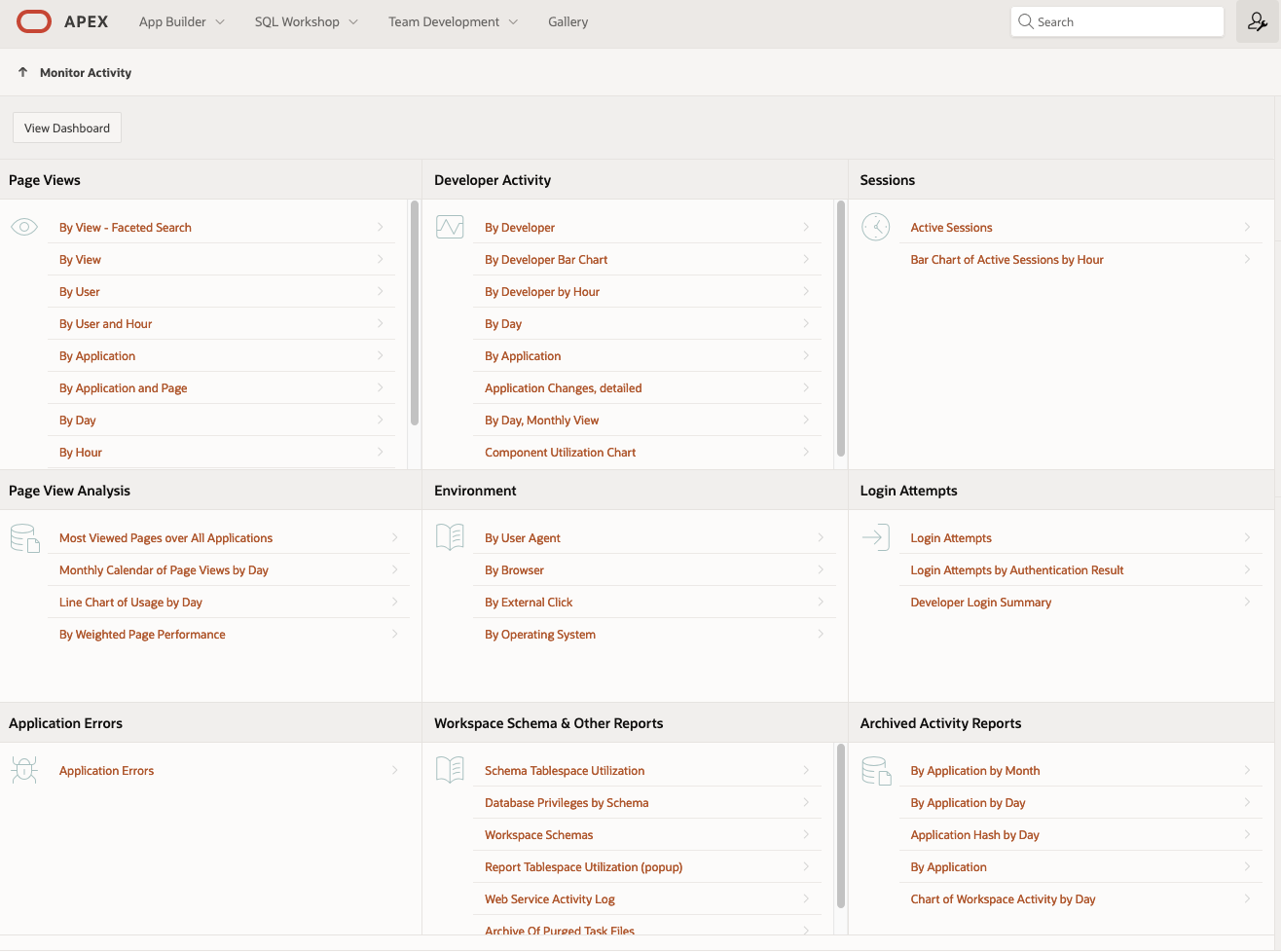 screenshot of Oracle APEX Application Builder Monitor Activity