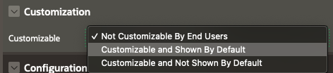 Print-screen of the Standard Region Attribute Customizable in Oracle APEX