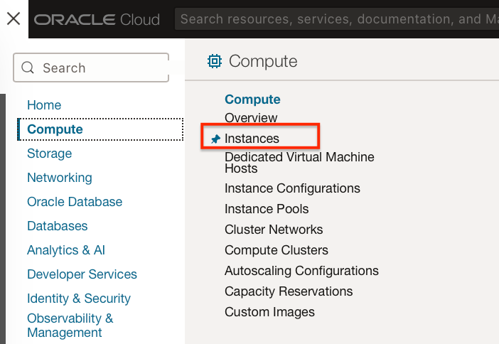 Deploy RStudio in an OCI Container