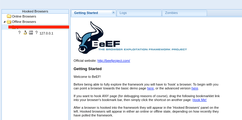 Screenshot of BeEF Project Panel interface